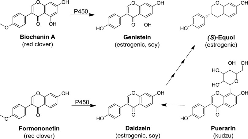 Fig. 24.