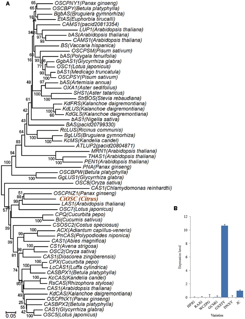 FIGURE 4