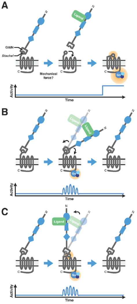 Figure 2: