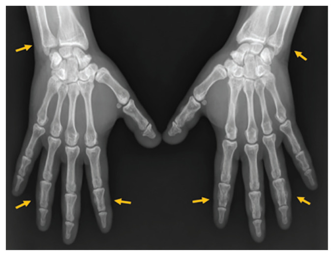 FIGURE 2