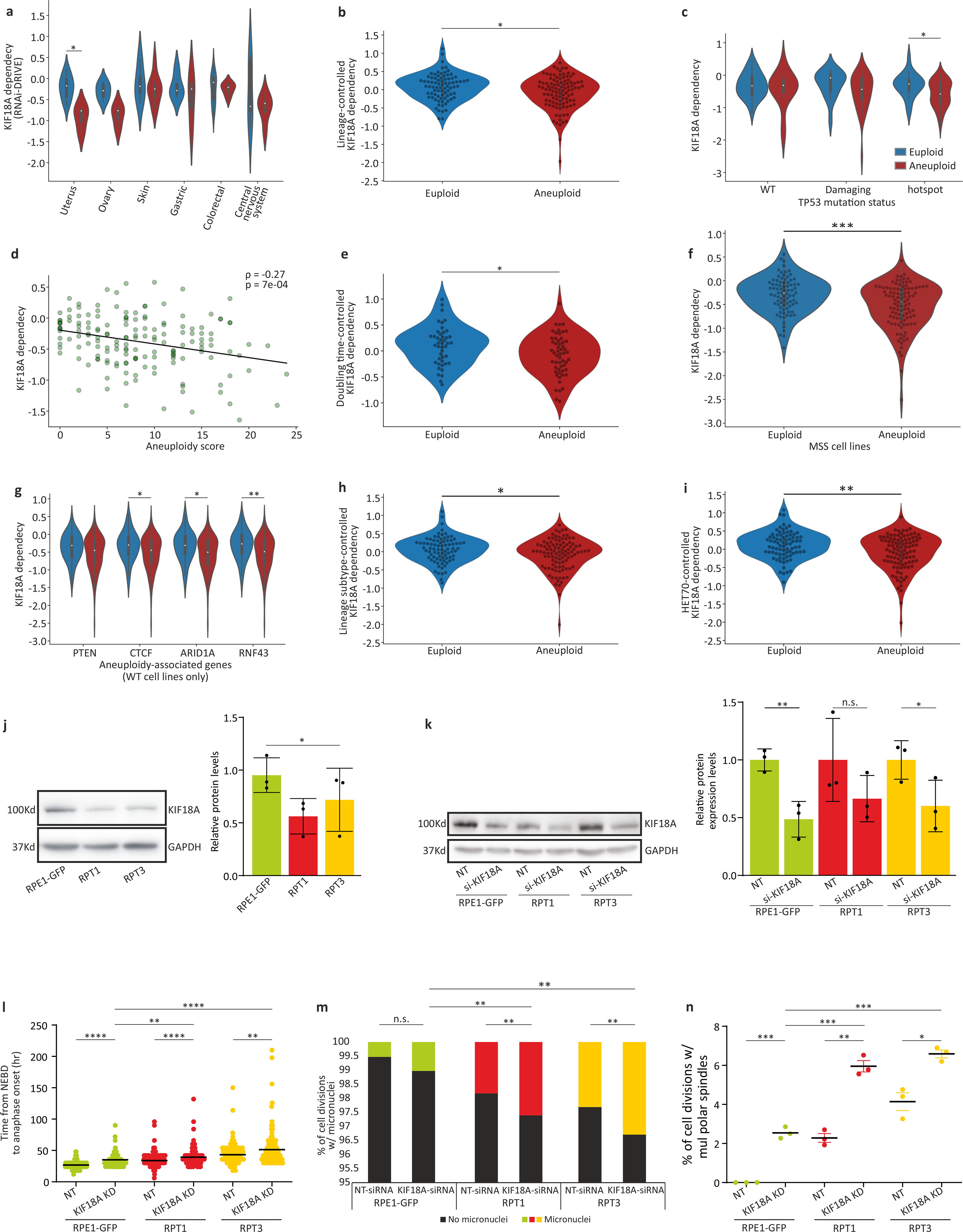 Extended Data Figure 10: