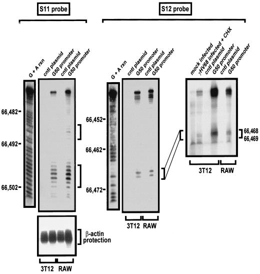 FIG. 5