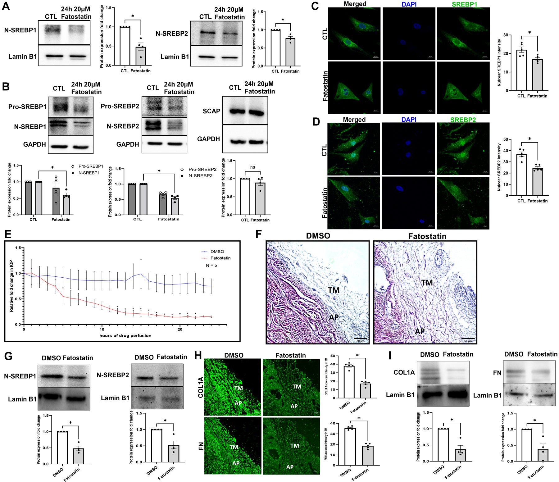 Fig. 3: