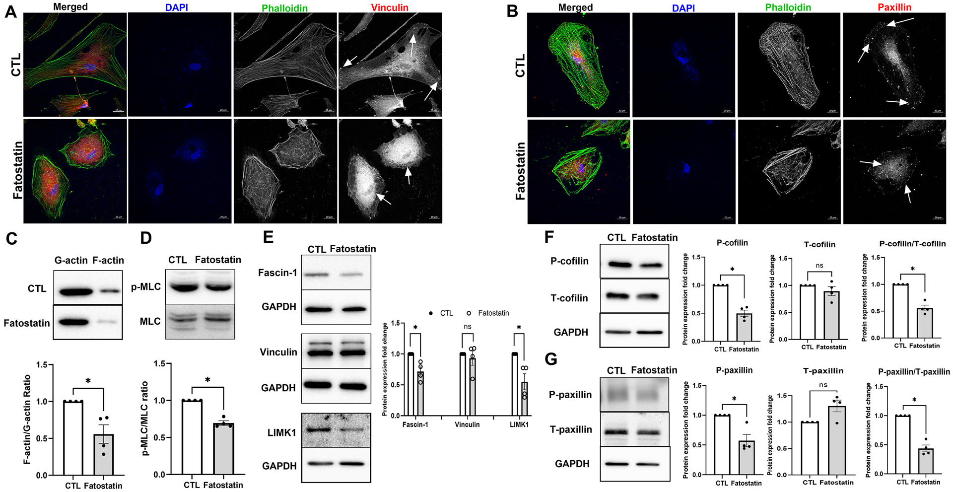 Fig. 6: