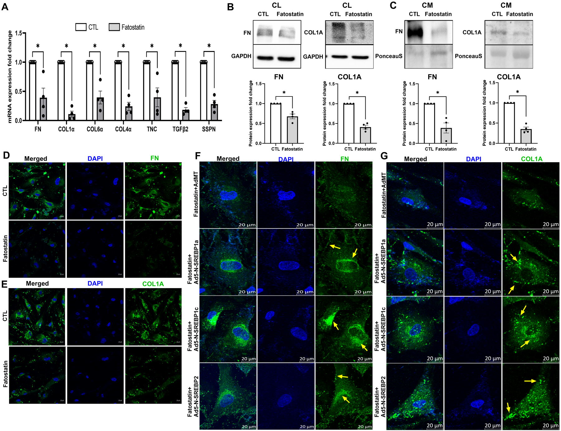 Fig. 7: