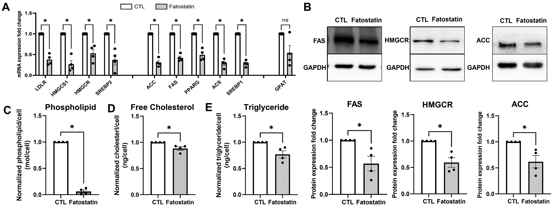 Fig. 5: