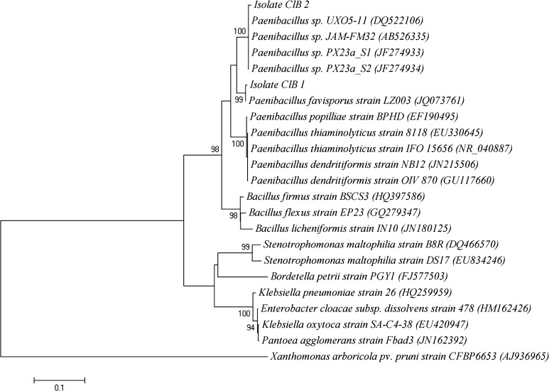 Fig. 1