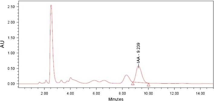 Fig. 3