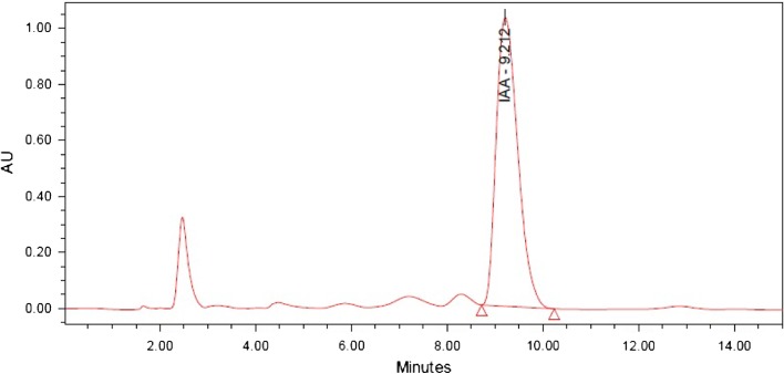 Fig. 4