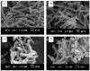 Fig. 15