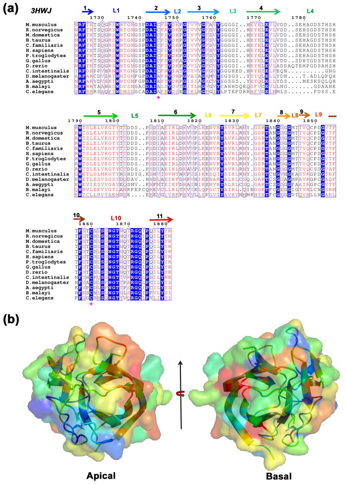 Fig. 3