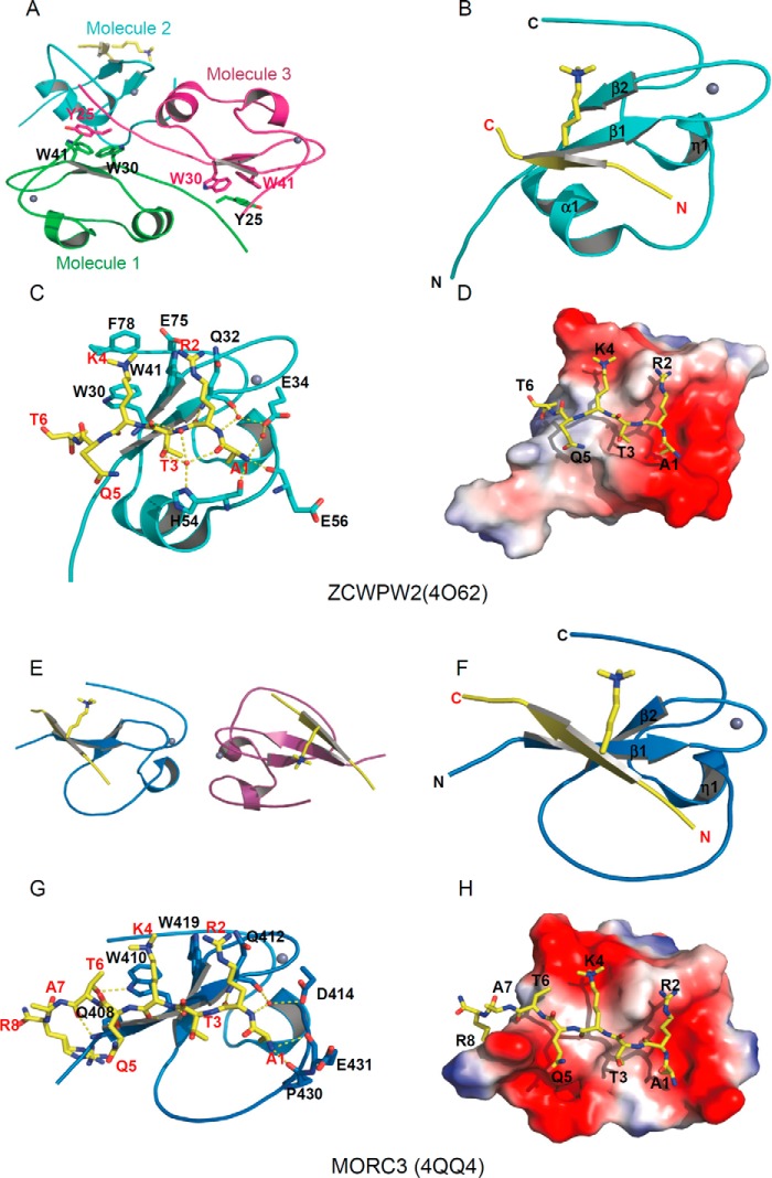 FIGURE 3.