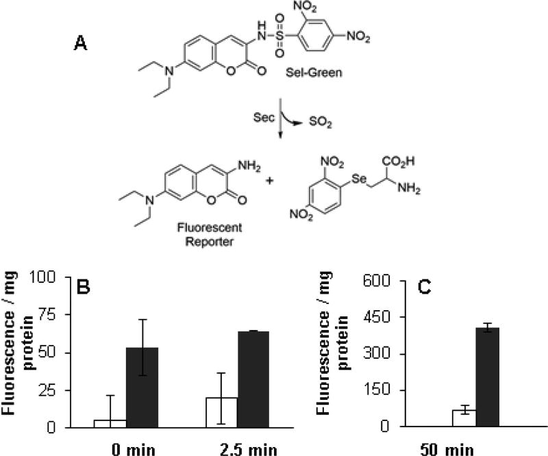 Fig.7