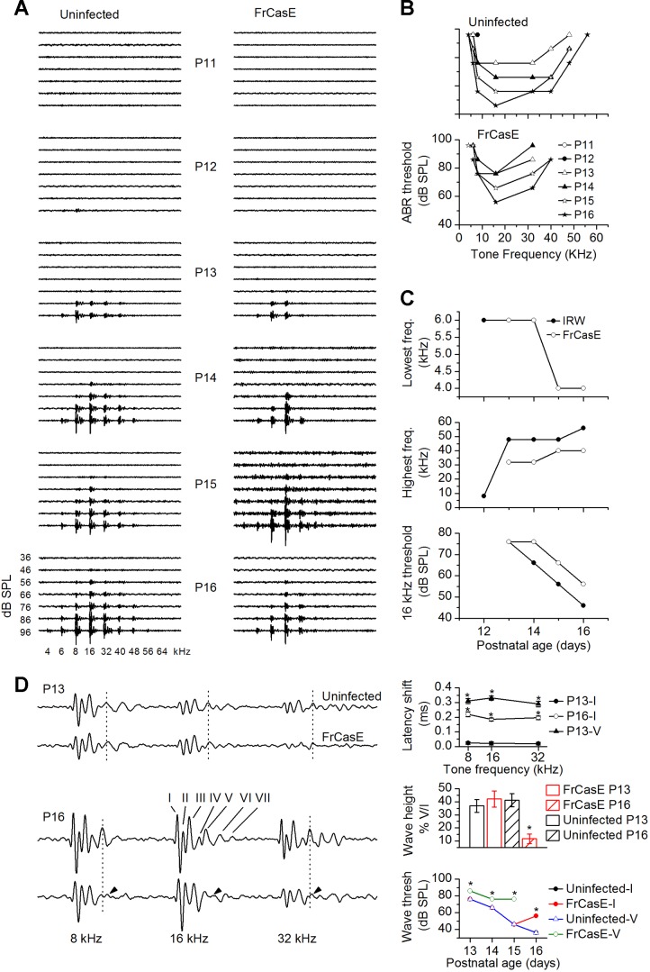 Fig. 10.