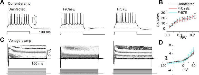 Fig. 5.