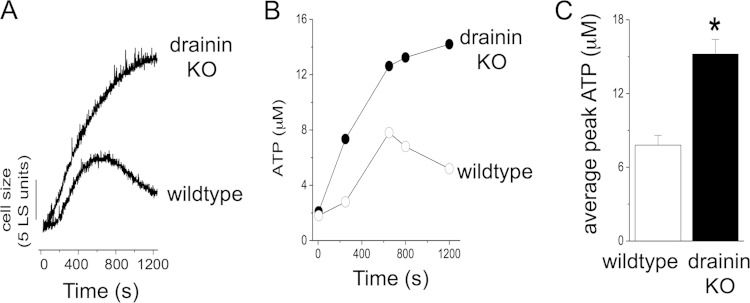 FIG 3