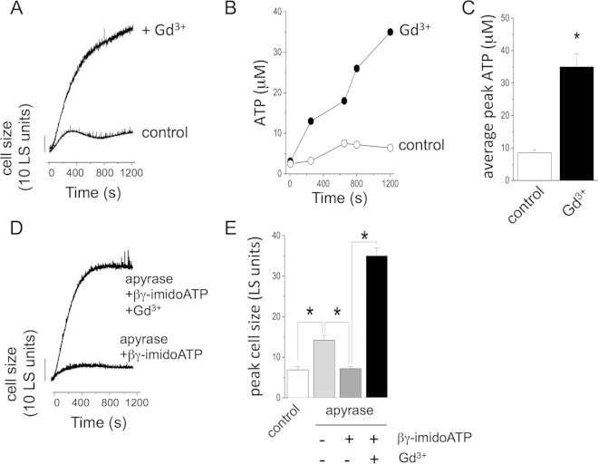 FIG 4