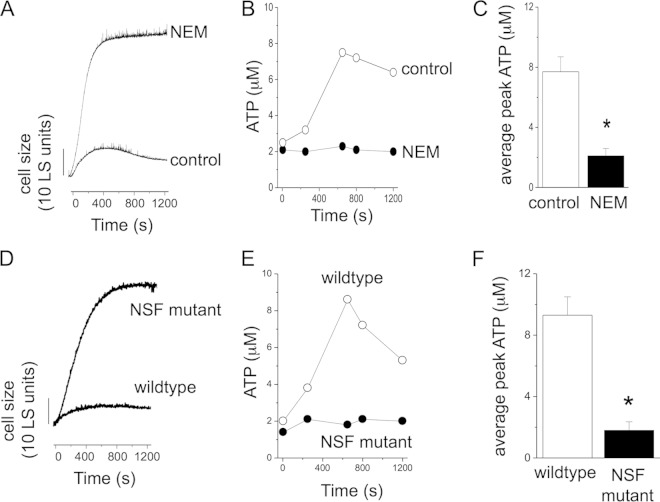 FIG 2