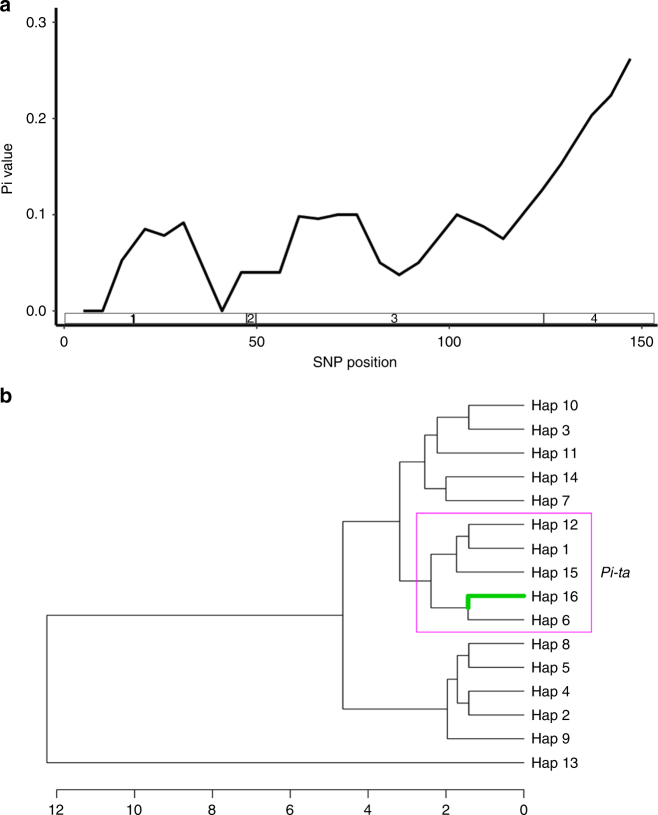 Fig. 5