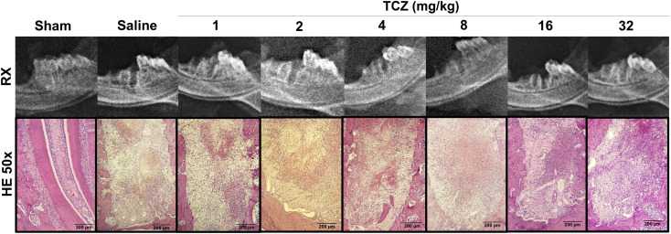 Figure 1