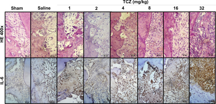 Figure 2