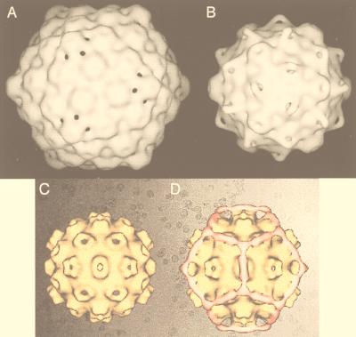 FIG. 36