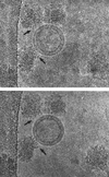 FIG. 22