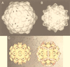FIG. 36