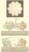 FIG. 28