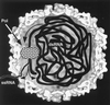 FIG. 31