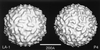 FIG. 48