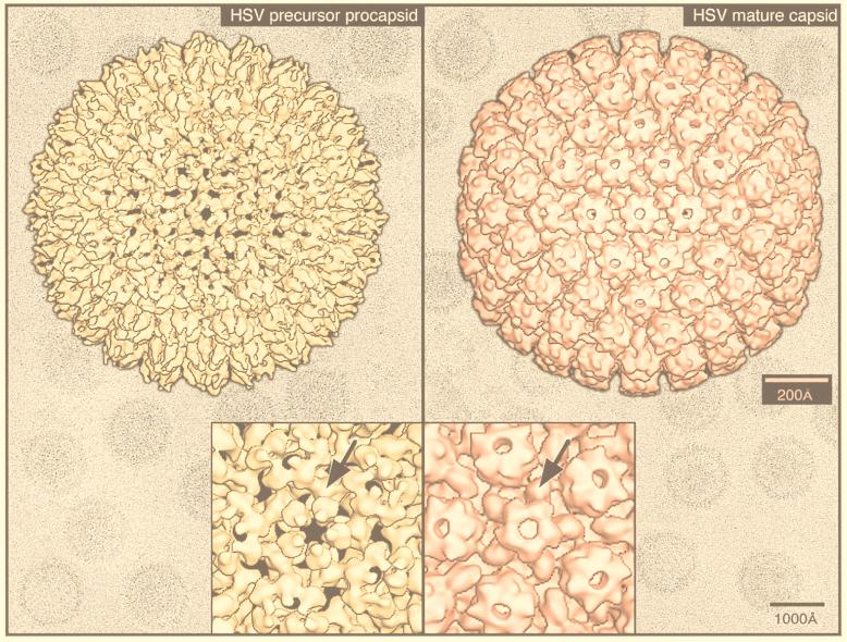 FIG. 34