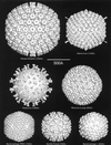 FIG. 1