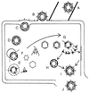FIG. 49