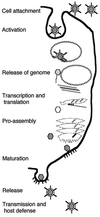 FIG. 15