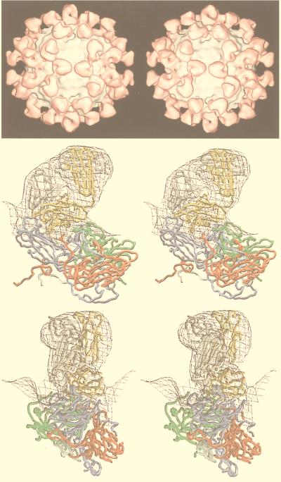 FIG. 14