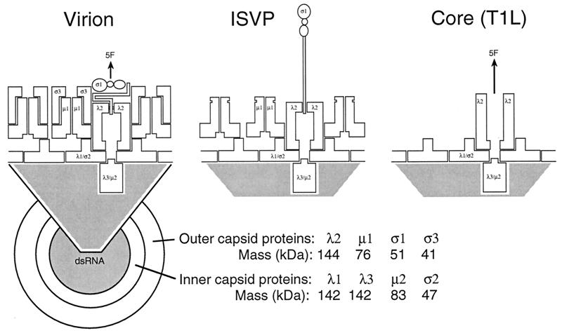 FIG. 39