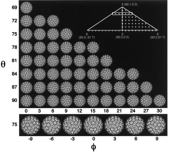 FIG. 12