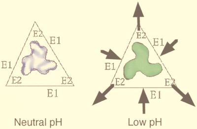 FIG. 21