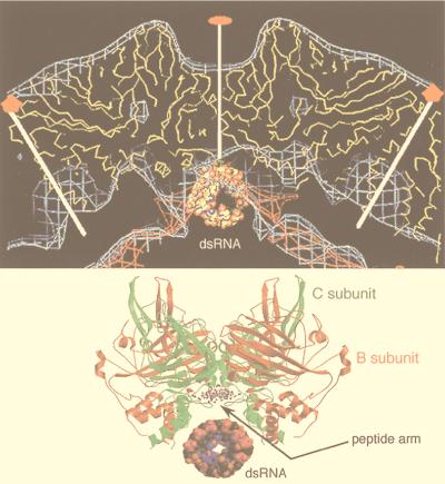 FIG. 54