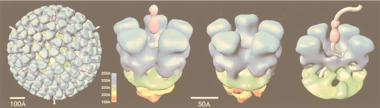 FIG. 30