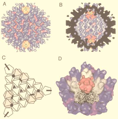 FIG. 52