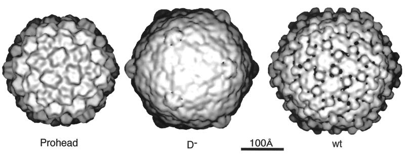 FIG. 32