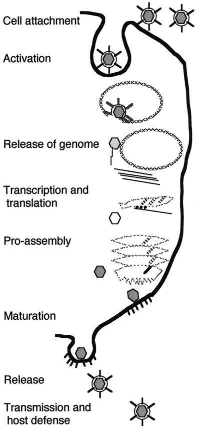 FIG. 15