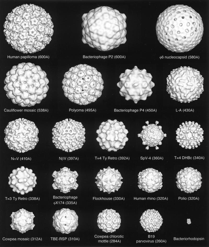 FIG. 1