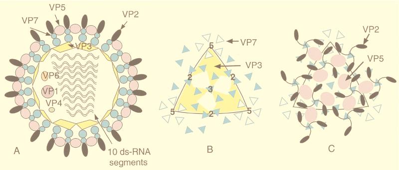 FIG. 46