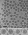 FIG. 43