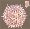 FIG. 23