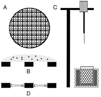 FIG. 5