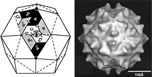 FIG. 26